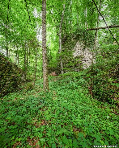 Gemeinde Garching Landkreis Altötting Wald Tuffstein am Schlossberg (Dirschl Johann) Deutschland AÖ